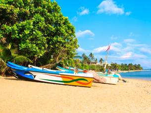 January - Bright boats on the tropical beach of Bentota, Sri Lanka