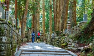 Japan Hidden Gems & Highlights main - Okunoin, Mount Koya