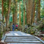 Okunoin cemetery | Mount Koya | Japan