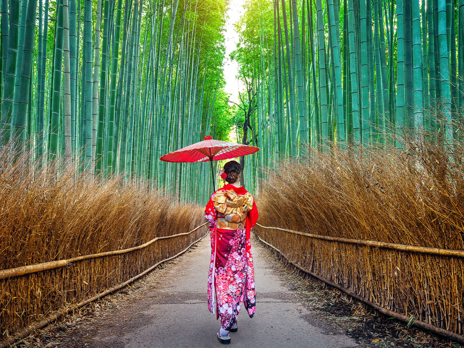 Japan Uncovered - 11 days