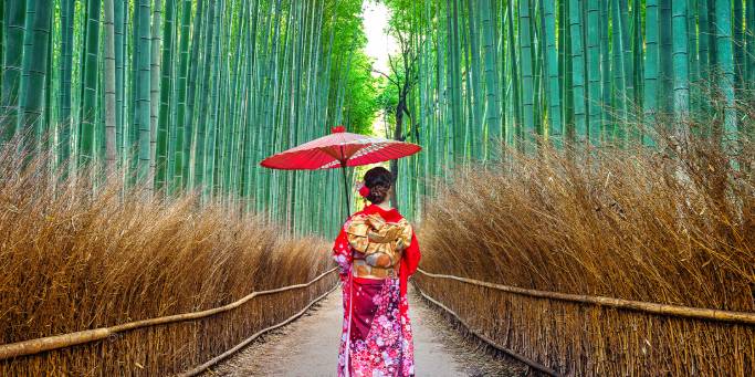 Geisha in Arashiyama Bamboo Forest | Japan