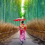 Geisha in Arashiyama Bamboo Forest | Japan