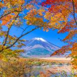 Mount Fuji in fall / autumn | Hakone | Japan