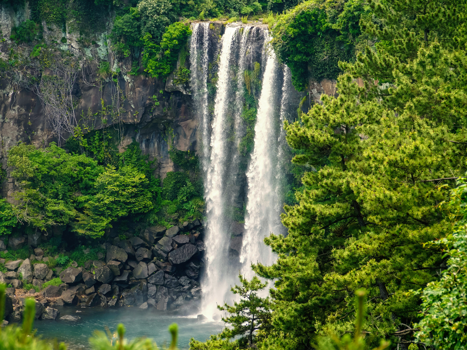 Jeju Island Tours, South Korea 2025/2025