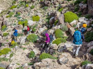 Jordan Trek main Image - Trekking - Jordan