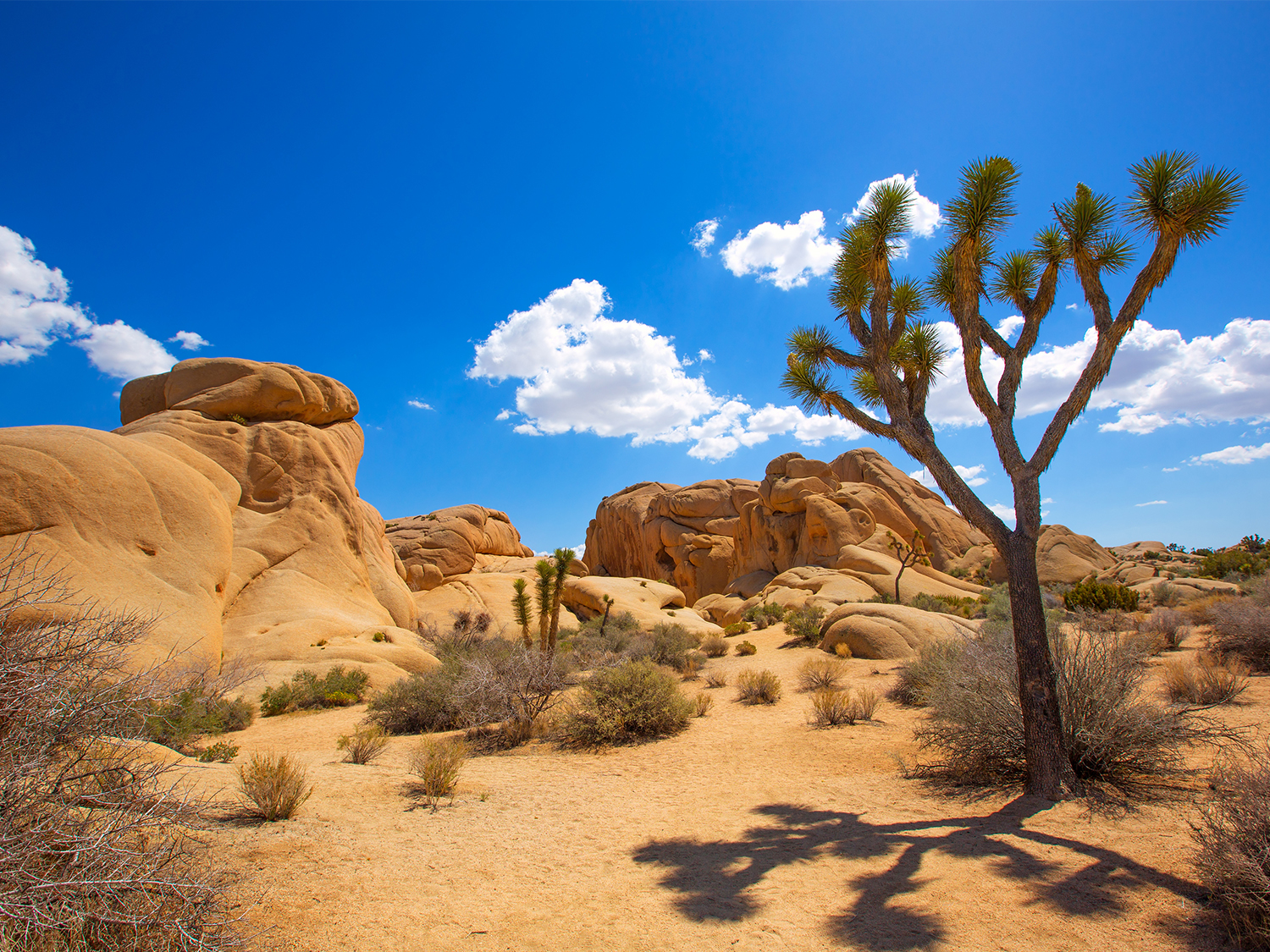 Palm Springs, Joshua Tree & Death Valley - 6 days