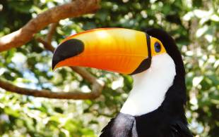 Journey-to-the-Equator-Itinerary-Main-Combo-Tours-South-America