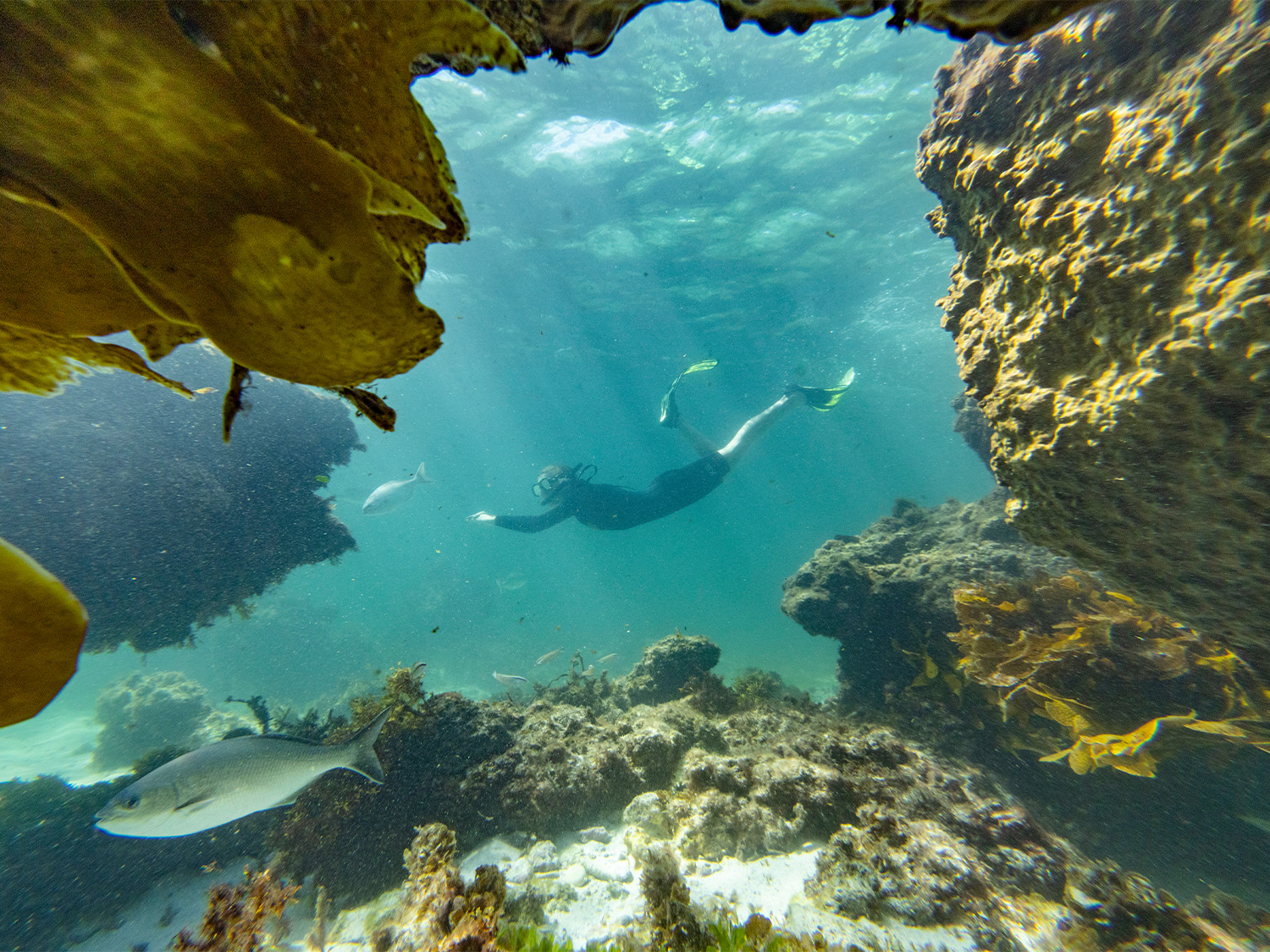 Day 4 - Geraldton to Perth