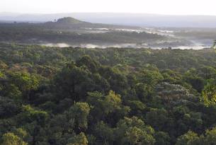 Kakamega Forest Reserve - Kenya - On The Go Tours