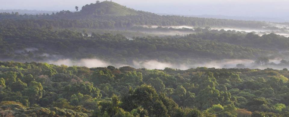 Kakamega Forest Reserve is one of the best places to visit in Kenya