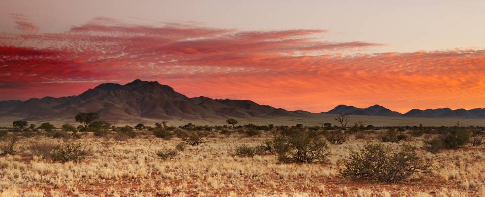 Red sky over the golden grass and sand of the Southern Kalahari, Namibia