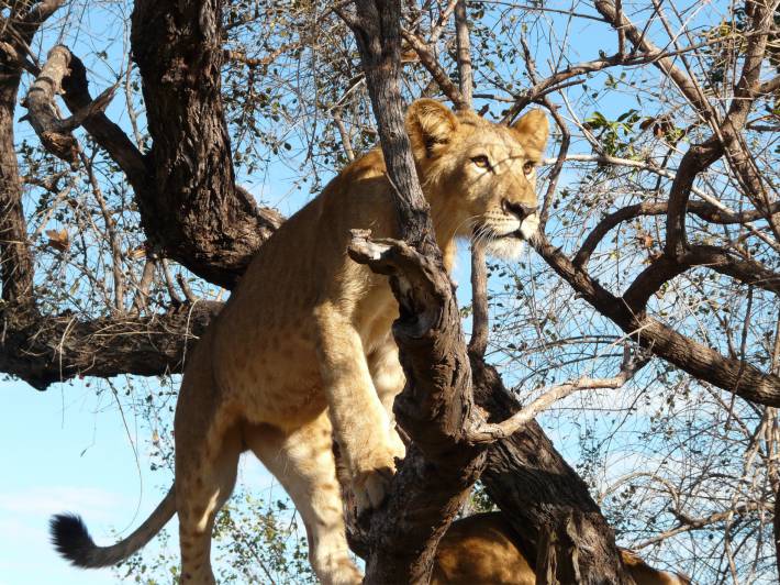 Kanya and Tanzania Trails itin 1