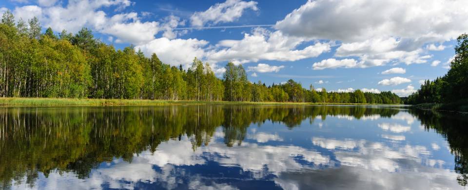 Lush, green forest lining the banks of the still water in Karelia