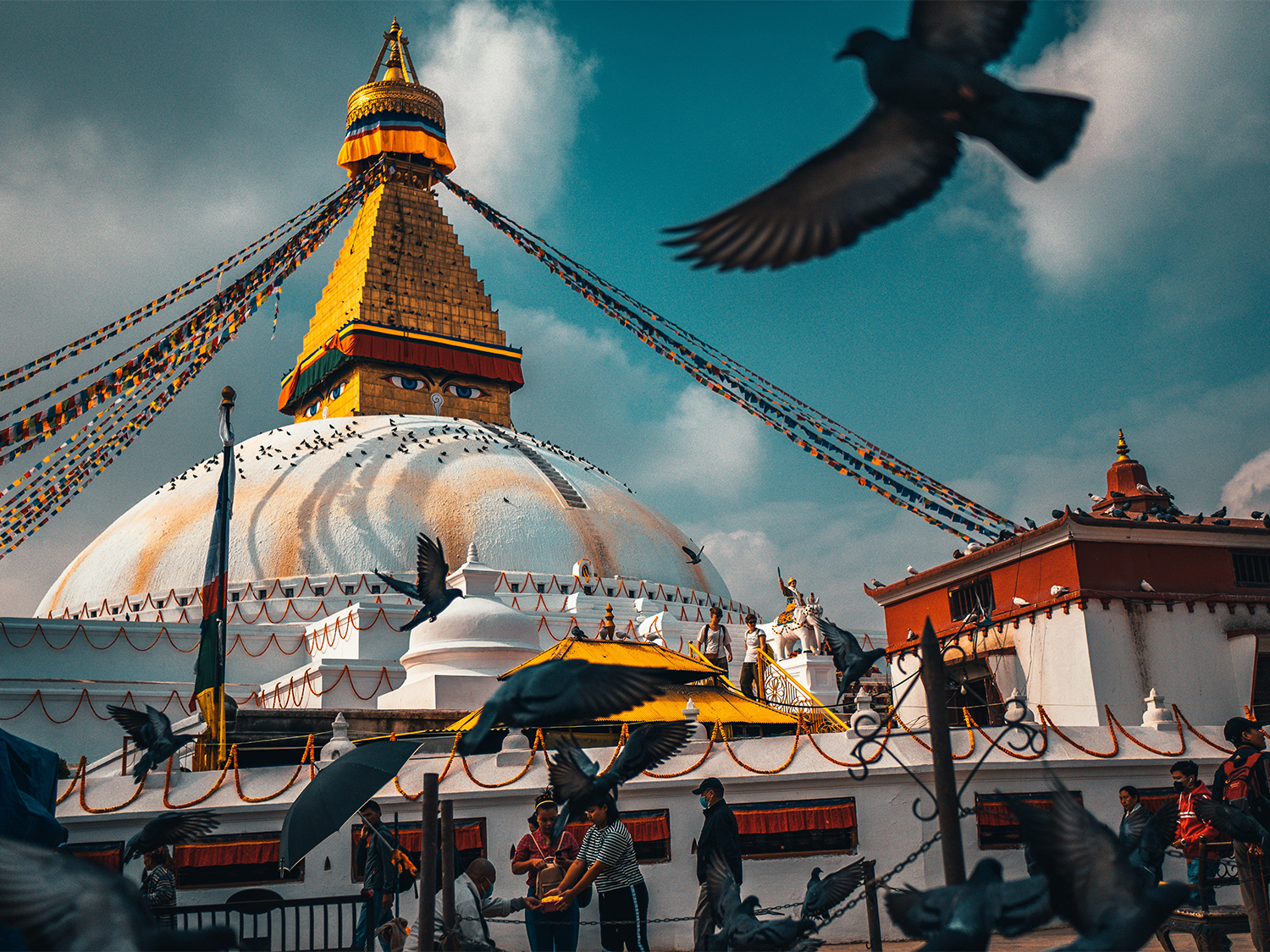 Day 7 - Transfer to Delhi & Fly to Kathmandu