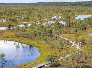 Kemeri National Park - Latvia