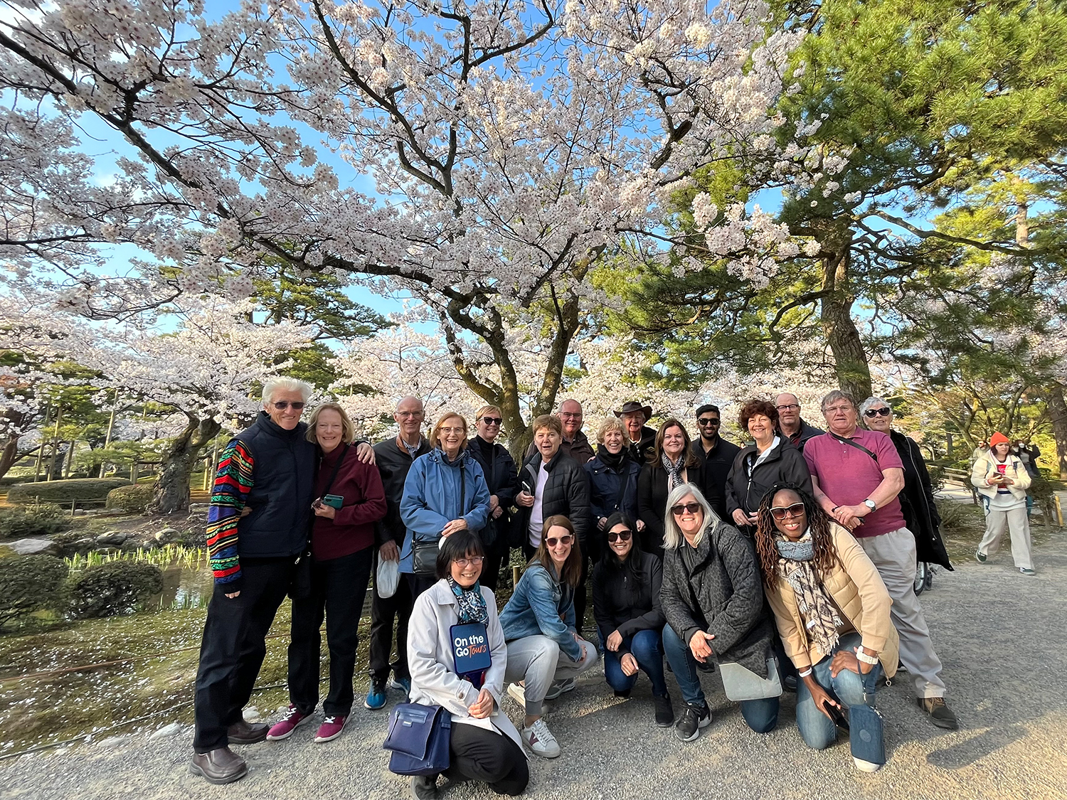 A cherry blossom tour