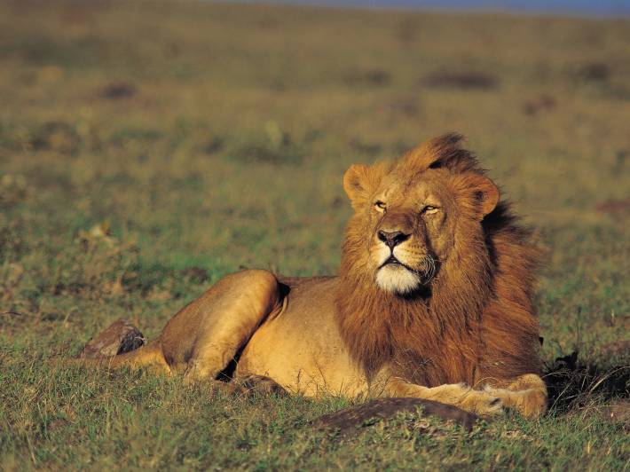 Kenya Uncovered 2013 Itinerary 3