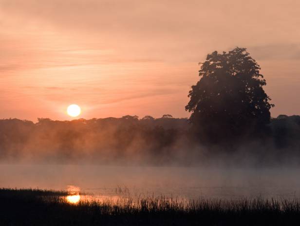 south luangwa