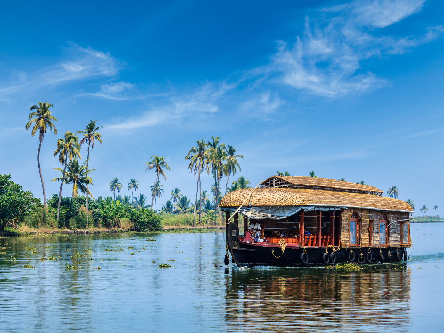 List Of Some Best Touring Places In India. 3 Sundarban Tourism