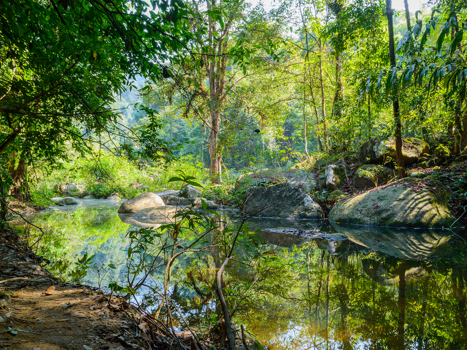 Day 19 - Khao Sok National Park