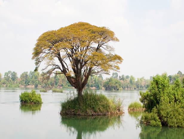 Water surrounded by lush vegetation on Khong Island