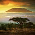 Mount Kilimajaro rising majestically in the distance