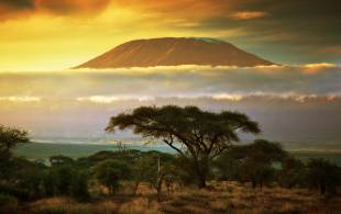 Kilimanjaro Sunset