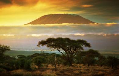 Mount Kilimanjaro | Tanzania | Africa