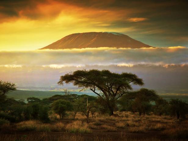 Mount Kilimajaro rising majestically in the distance