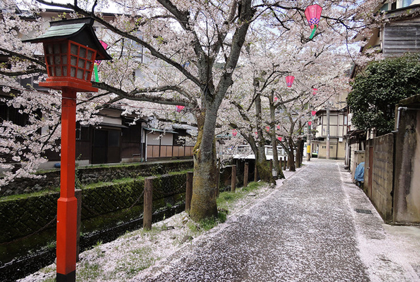 Days 8-9 - Kinosaki Onsen