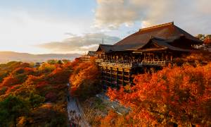 Kiyomizu Dera Temple Kyoto - Japan Tours 