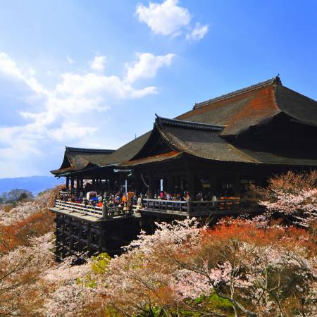 Kiyomizu Temple Kyoto - Japan Tours - On The Go Tours