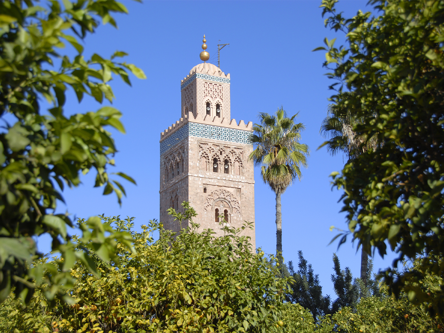 Day 15 - Exploring Marrakech