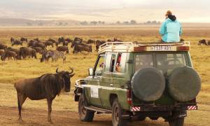 Kruger to the Serengeti (Accommodated) main image - on safari in Ngorongoro Crater