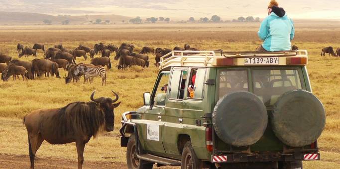 On a game drive in Ngorongoro Crater | Tanzania | Africa