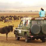 On a game drive in Ngorongoro Crater | Tanzania | Africa