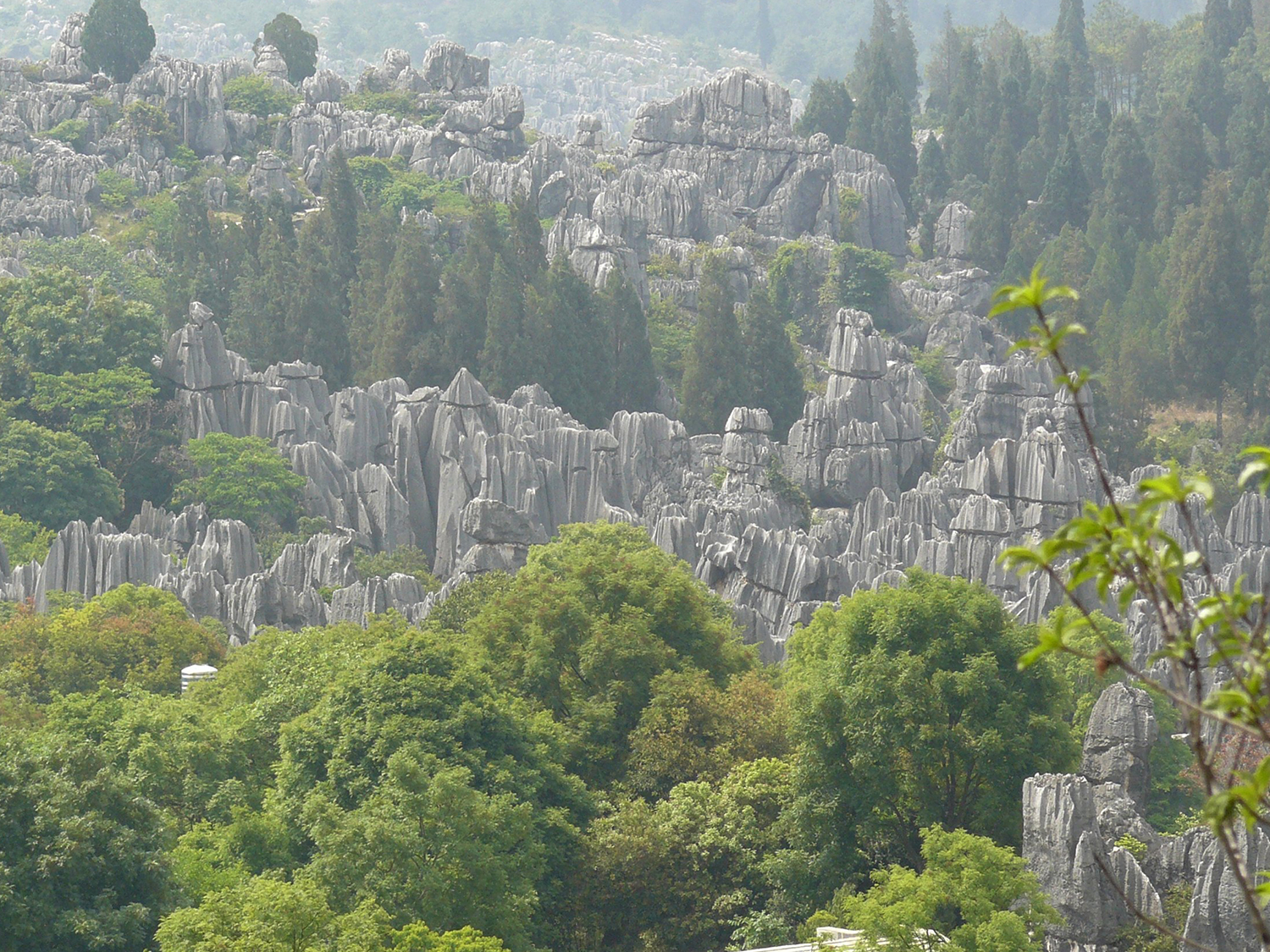 Day 12 - Kunming