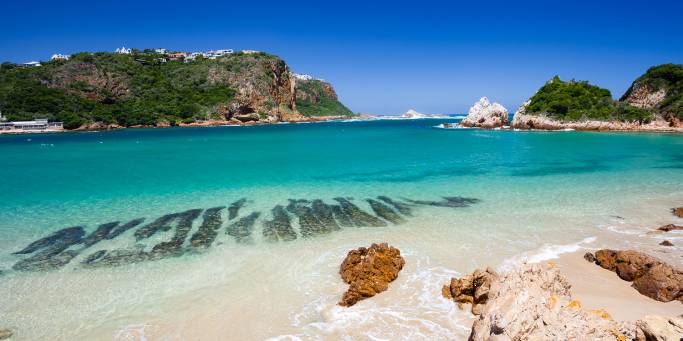 Knysna beach | South Africa