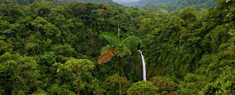 Narrow waterfall tumbling through the rugged wilderness at La Fortuna