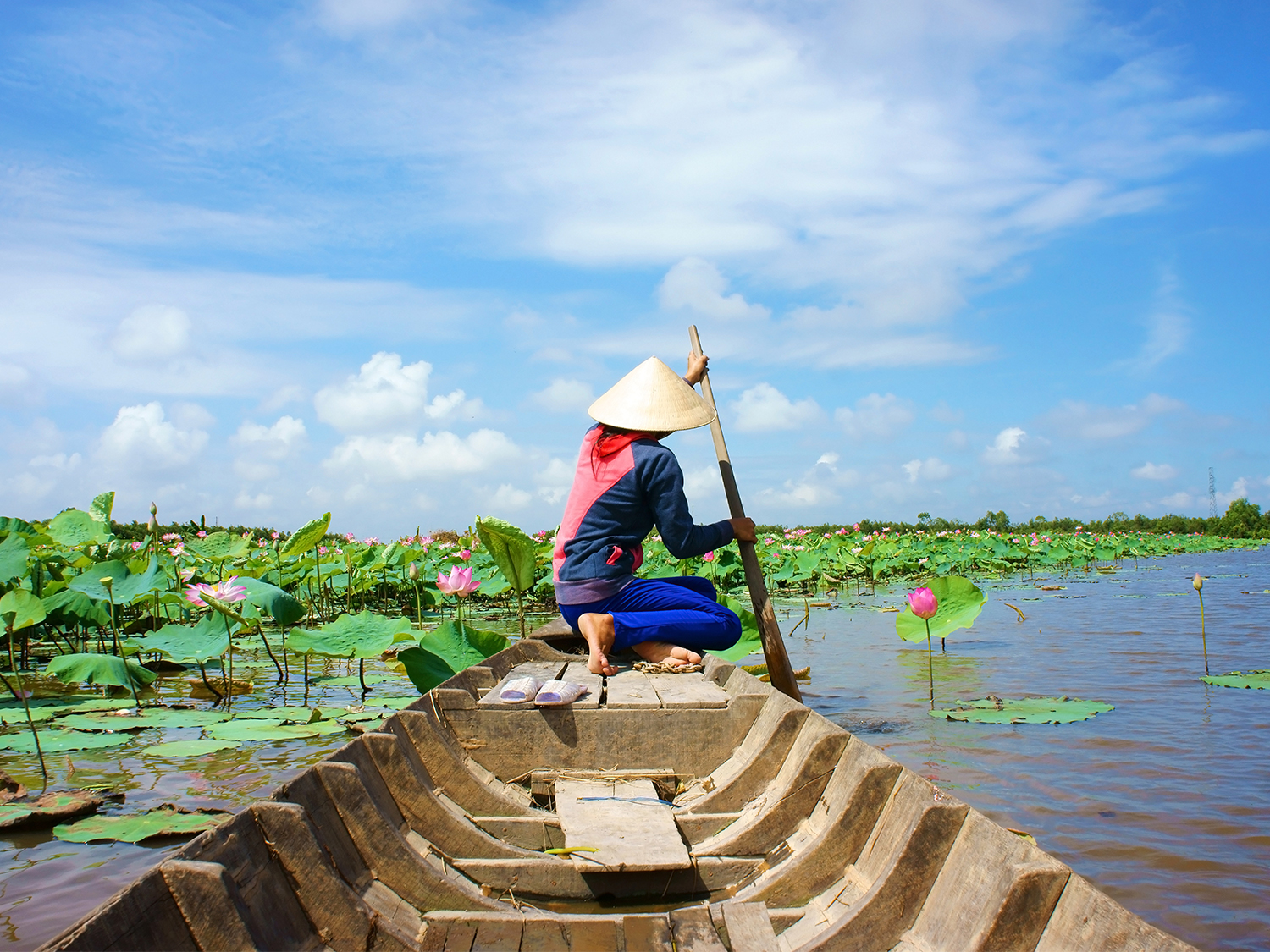 Day 3 - Coconut Country, Mekong Delta Excursion