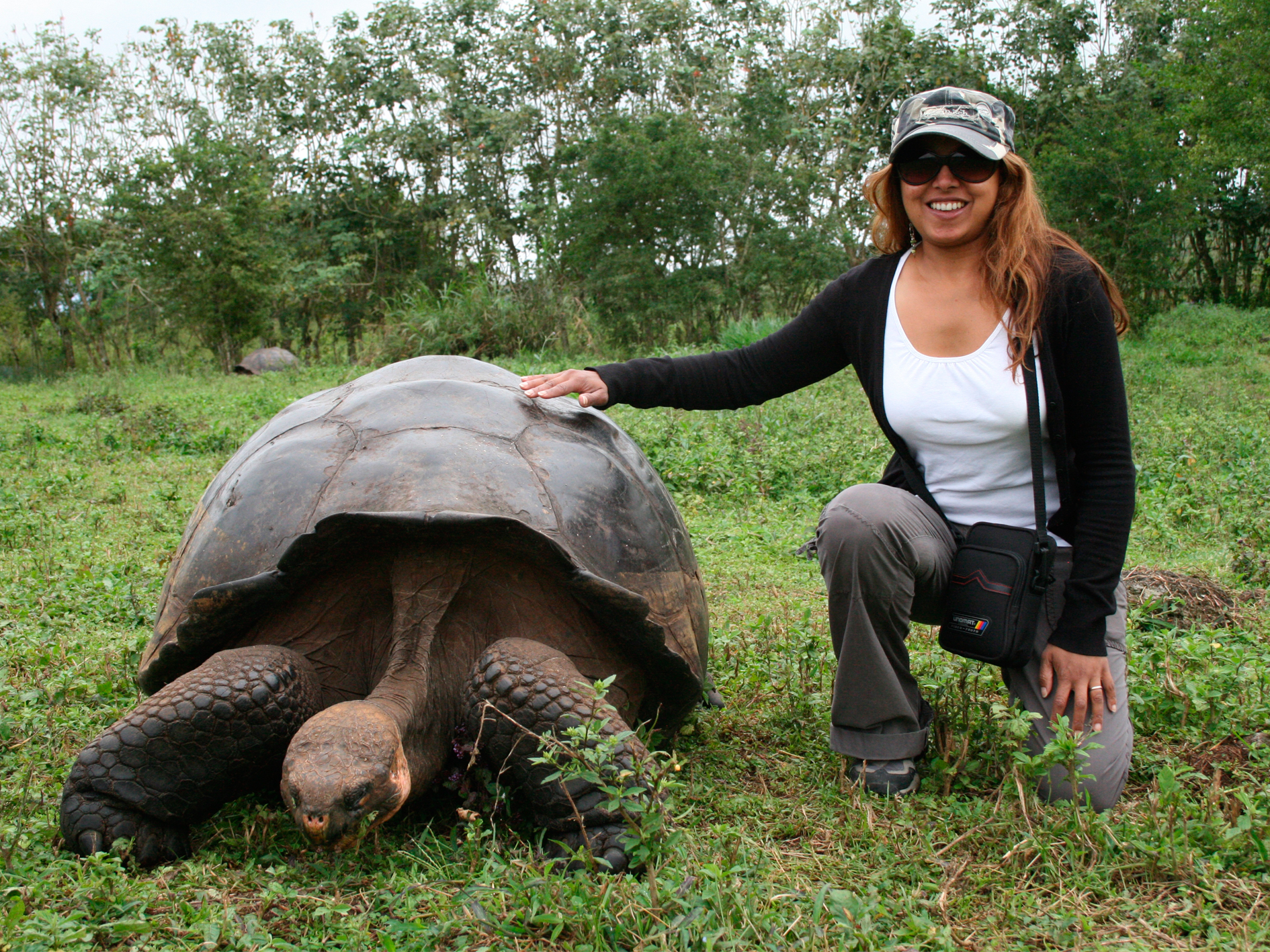 Day 13 - Galapagos Tortoise Breeding Centre