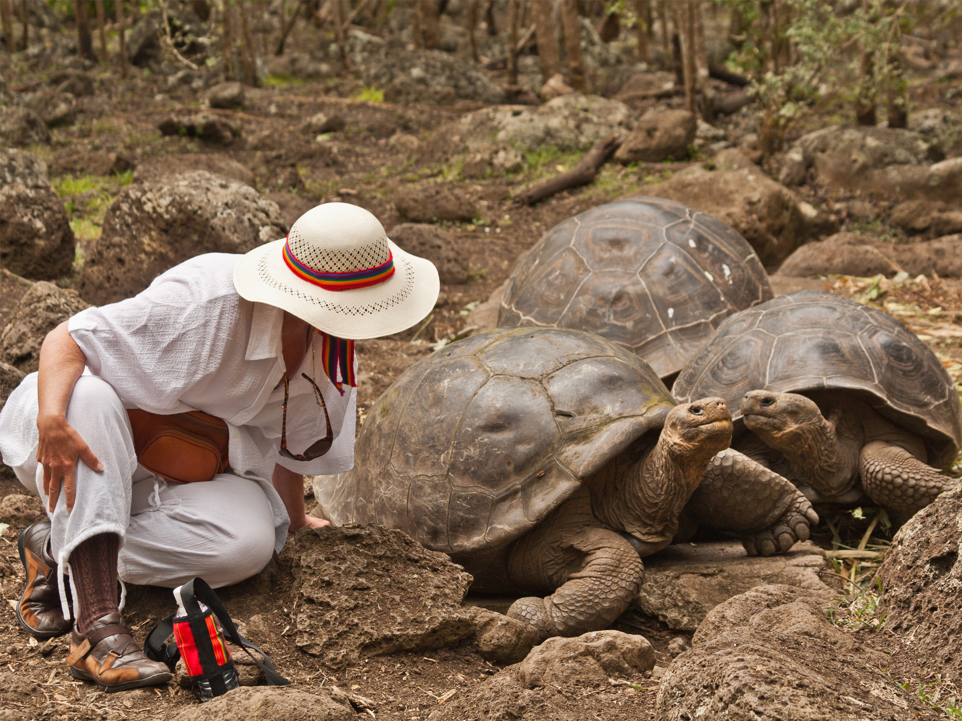 Day 6 - Galapagos Tortoise Breeding Centre