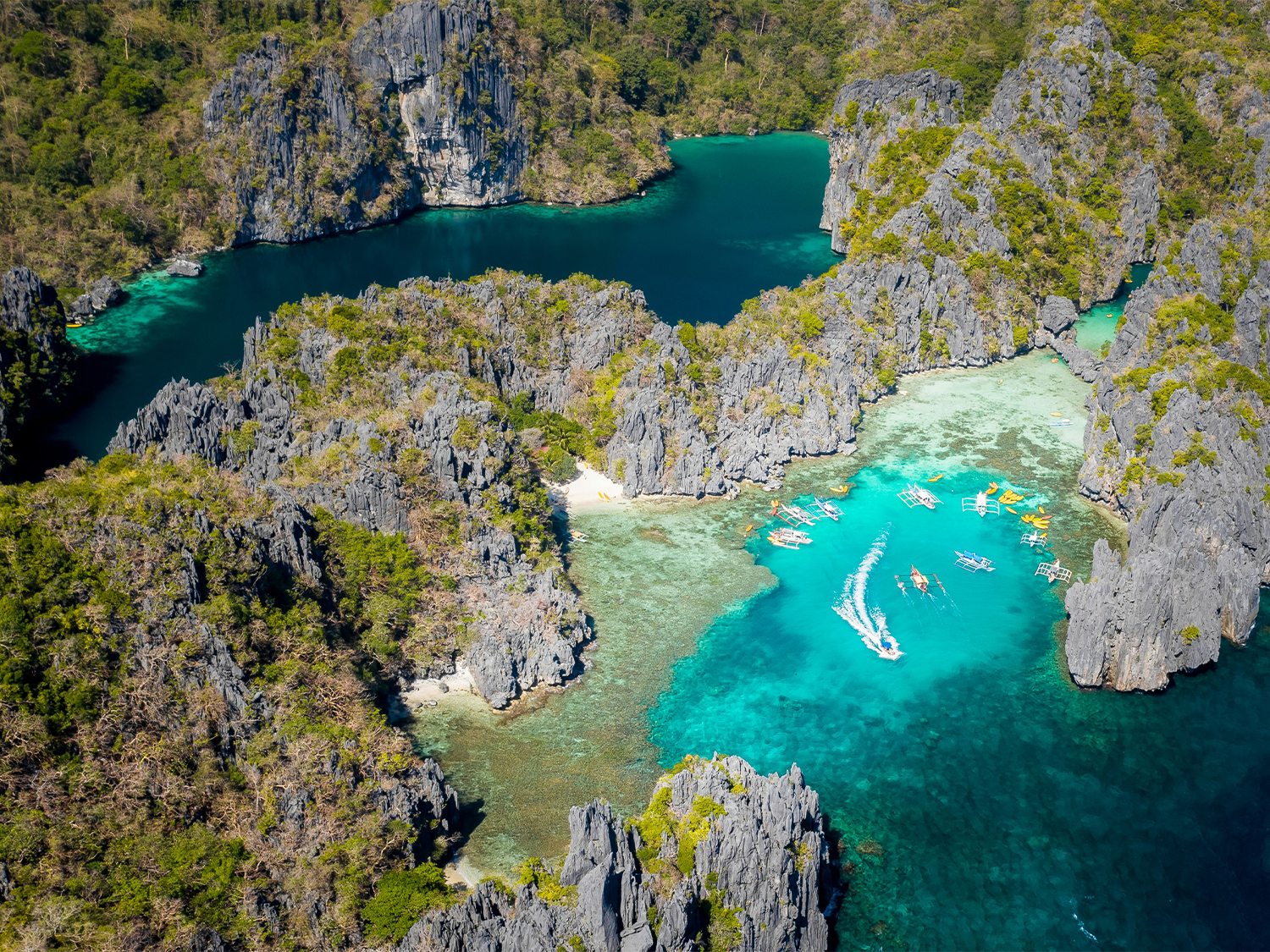 Manila, Bohol & El Nido (4 Star) - 8 days