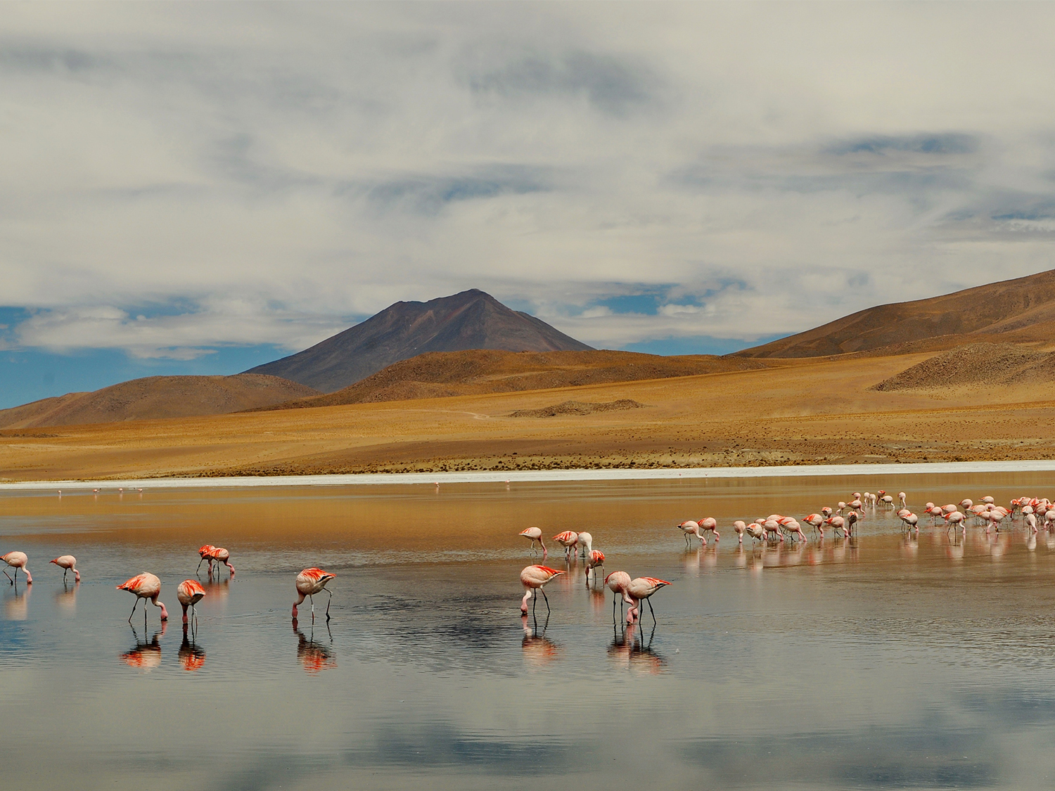 Day 18 - Uyuni / Salar De Uyuni Region  