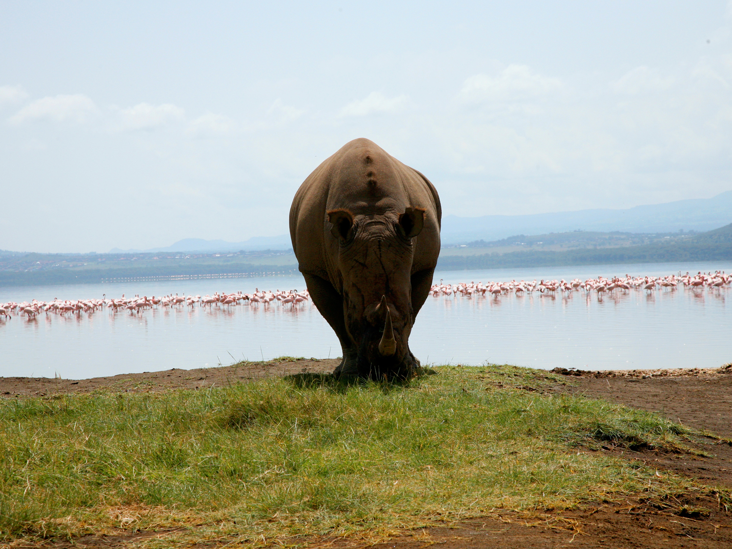 Day 6 - Lake Nakuru