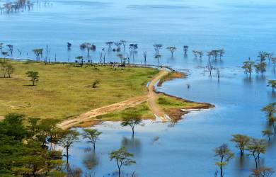 Bird's eye view of Lake Nakuru in Kenya which is one of the highlights of our Kenya safaris