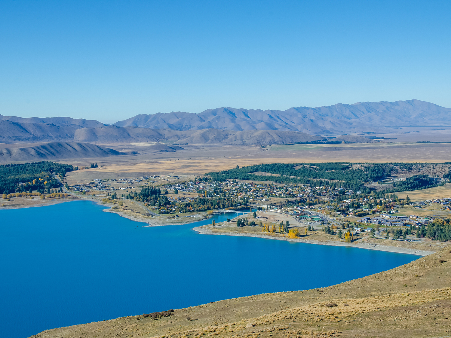 Day 3 - Tekapo