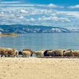 Lake Baikal | Trans-siberian Railway | Russia