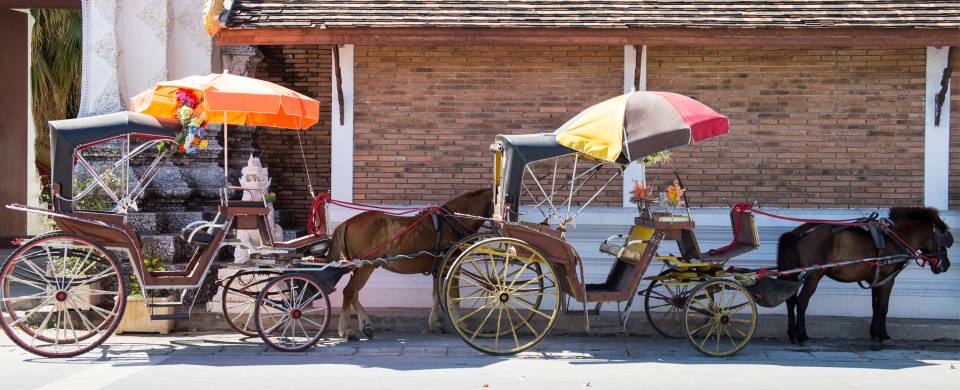 Horses and carriages on the streets in Lampang