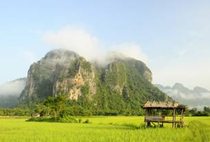 Laos_dreamstime_rice paddy-mountains-Laos